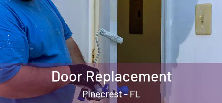  Door Replacement Pinecrest - FL