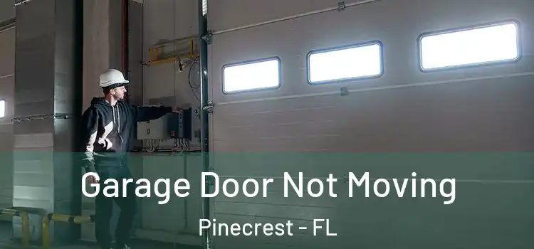  Garage Door Not Moving Pinecrest - FL
