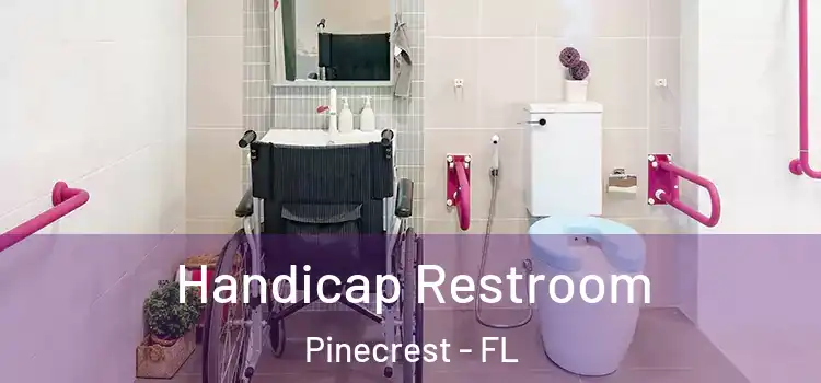  Handicap Restroom Pinecrest - FL