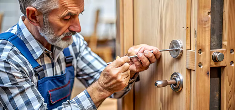 Mortise Replacement Lock Pinecrest
